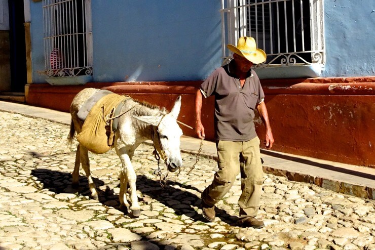 Trinidad in Kuba, Mann mit Esel