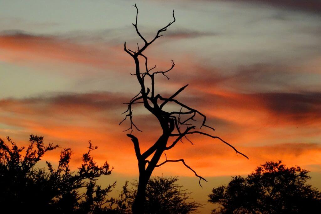 Jahresrückblick Reiseblog Groovy Planet, Abendstimmung in Botswana