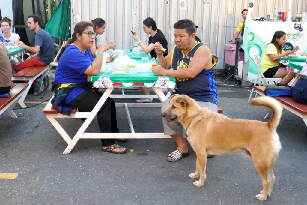 Indy Market in Phuket Town. Der Hund ist Stammgast.