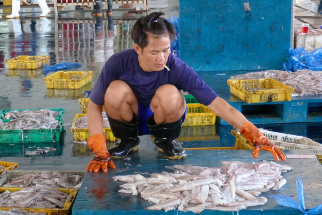 Menschen in Ranong. Auf dem Fischmarkt werden Fische sortiert.