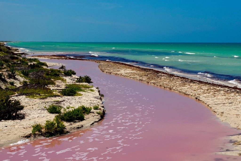 Pinkfarbenes Wasser an der Küste von Las Coloradas.